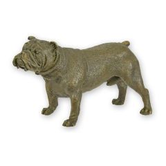 Bronzen beeld van staande Engelse bulldog met gerimpelde snuit