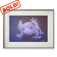 Axolotl