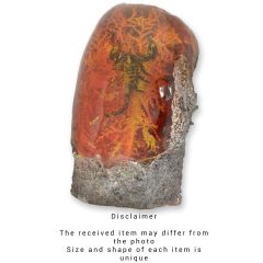 Groot Ornament van Resin met een Schorpioen