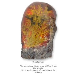 Groot Ornament van Resin met een Vlinder