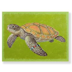 Sea Fashionistas - Turtle (2026) - Andriy Klishyn