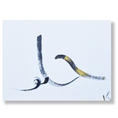 The Echo of Lines - The Desire - Vitalė Klevečkaitė