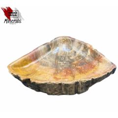 Wastafel basin van versteend hout uit Indonesië - Maat 36-40 cm